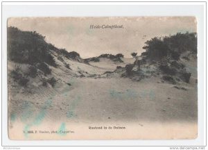 Kalmthoutse Heide 1906
